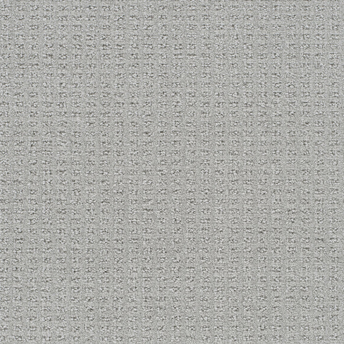 Perfect Balance Polyester Haven 2982 Carpet Loop 1