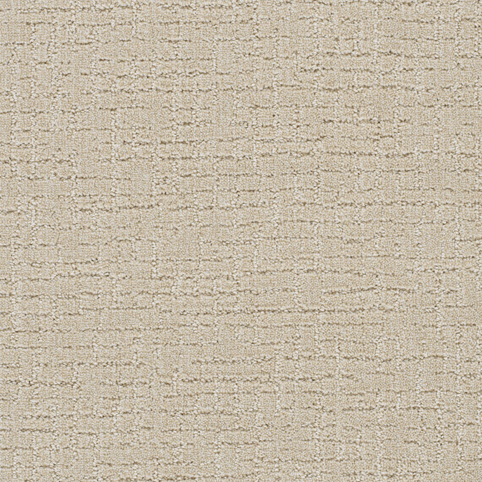 Natural Attraction Polyester Joyous 2069 Carpet Loop 1