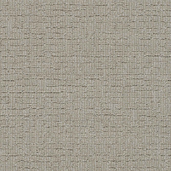 Natural Attraction Polyester Regal 2390 Carpet Loop 1