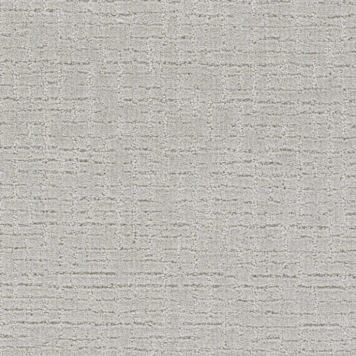 Natural Attraction Polyester Tranquil 2452 Carpet Loop 1