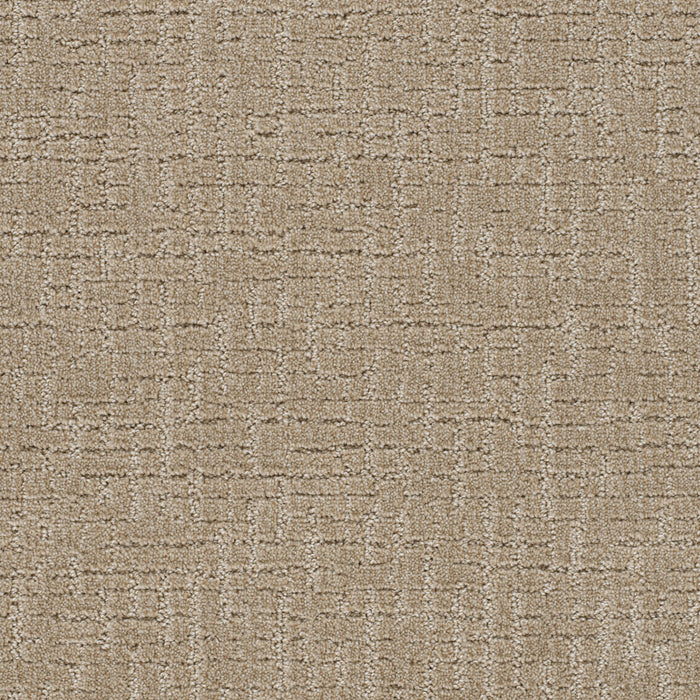 Natural Attraction Polyester Sand Dance 2604 Carpet Loop 1