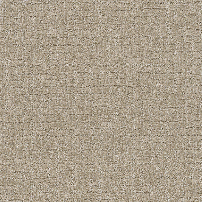 Natural Attraction Polyester Papaya 2655 Carpet Loop 1