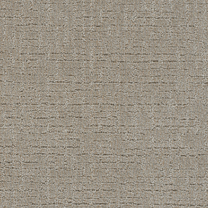 Natural Attraction Polyester Warm Putty 2732 Carpet Loop 1