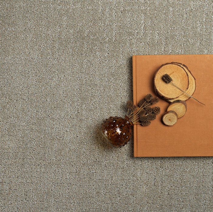Natural Attraction Polyester Warm Putty 2732 Carpet Loop 3