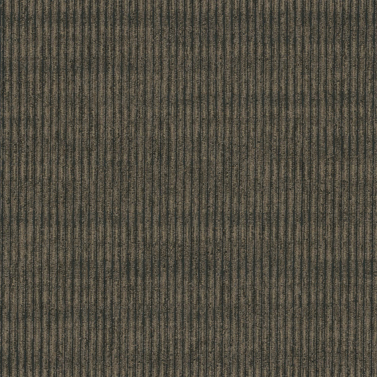 Pentz Commercial Sidewinder Broadloom 2764 Caravan Pattern