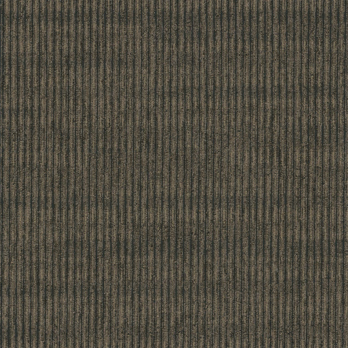 Sidewinder Broadloom APEX SDP Polyester Caravan 2764 Carpet Pattern 1