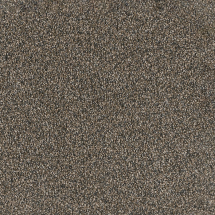 Trendsetter I Polyester Imperial Sable 134 Carpet Textured 1