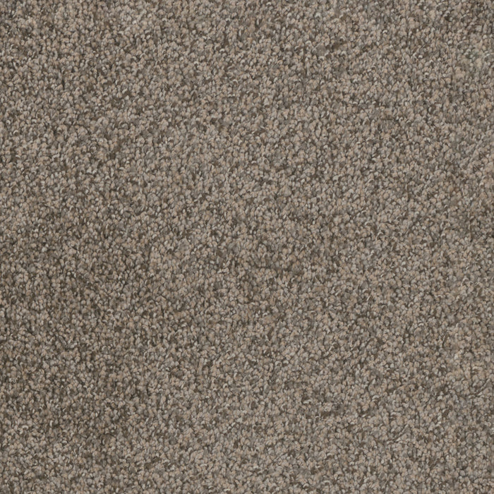 Trendsetter II Polyester Twig 247 Carpet Textured 1