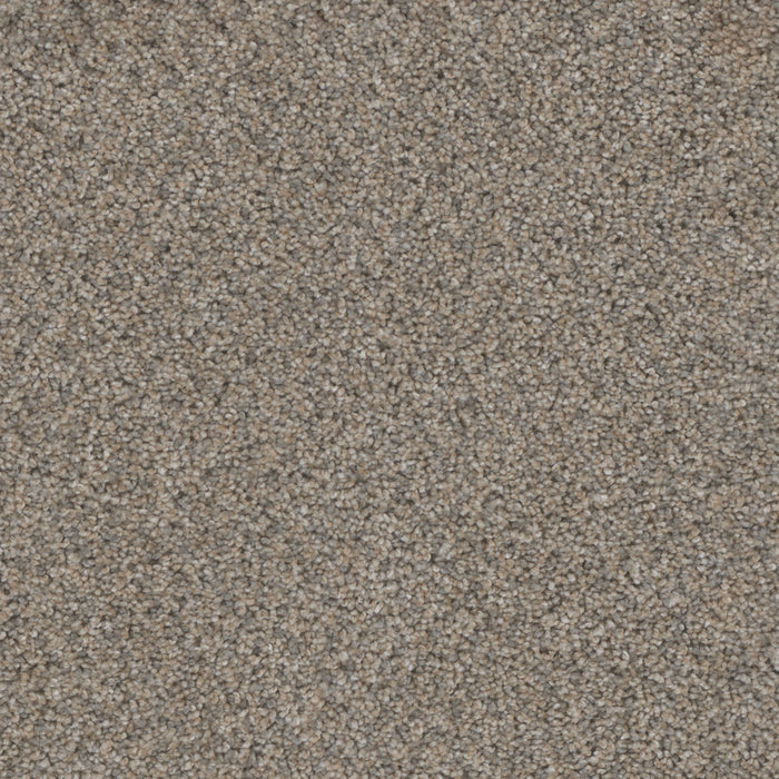 Trendsetter I Polyester Glimmer 262 Carpet Textured 1