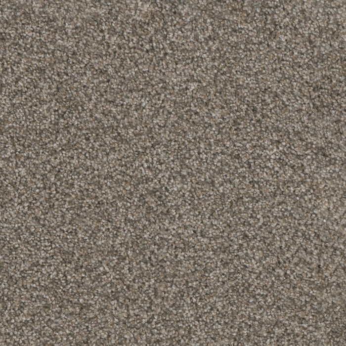 Trendsetter I Polyester Sageview 327 Carpet Textured 1