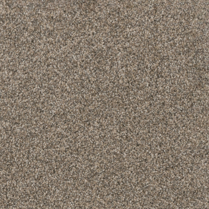 Trendsetter I Polyester Oxford Stone 359 Carpet Textured 1