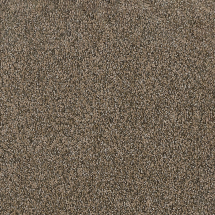 Trendsetter I Polyester Smokey Taupe 381 Carpet Textured 1