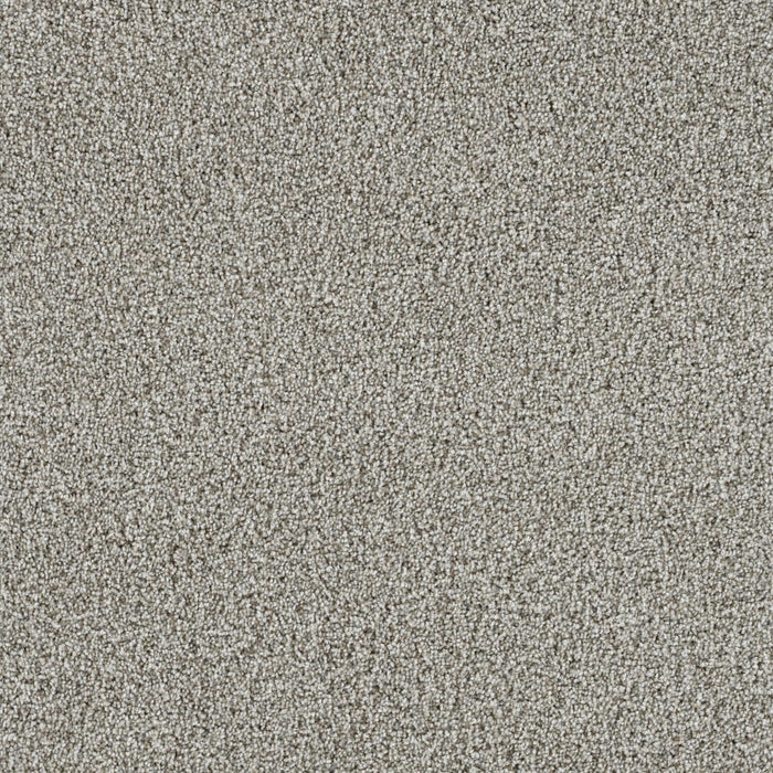 Trendsetter I Polyester Antique Cameo 386 Carpet Textured 1