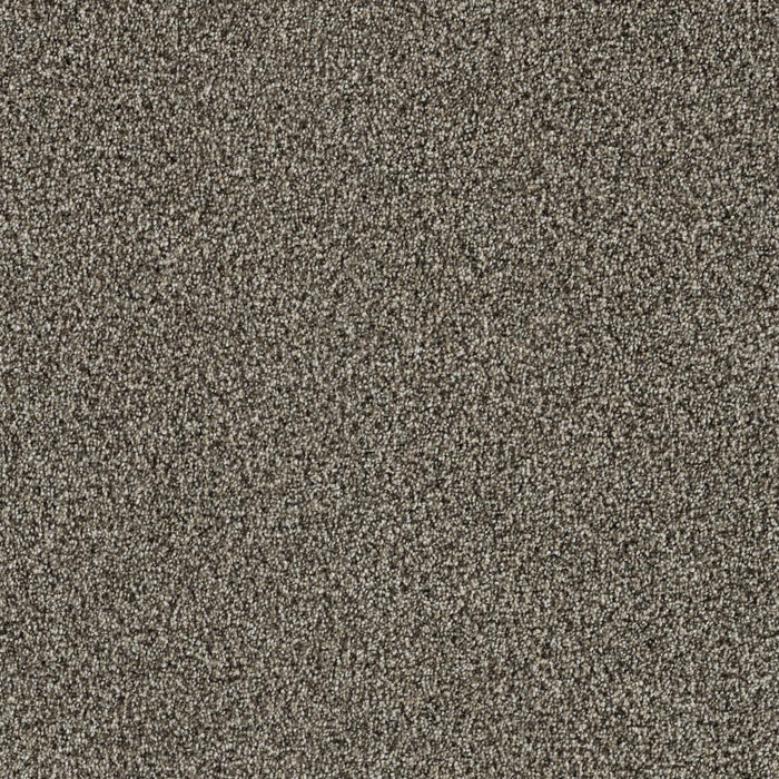Trendsetter I Polyester Trail Creek 398 Carpet Textured 1