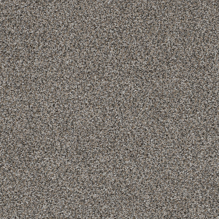 Trendsetter II Polyester Luna Pearl 399 Carpet Textured 1