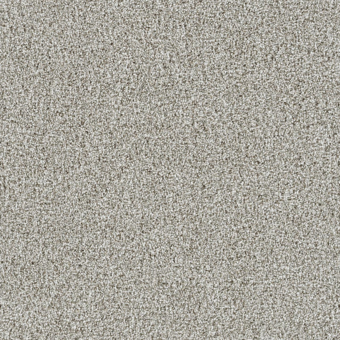 Trendsetter I Polyester Porcelain 486 Carpet Textured 1