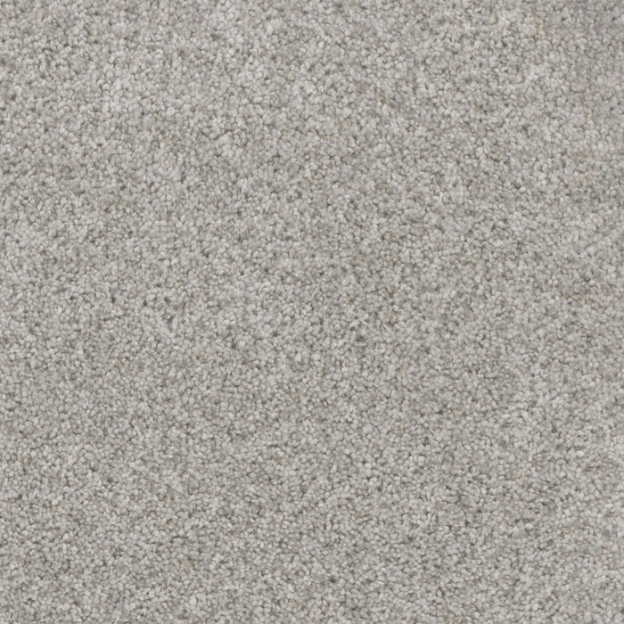 Trendsetter I Polyester Sparkling Dew 513 Carpet Textured 1