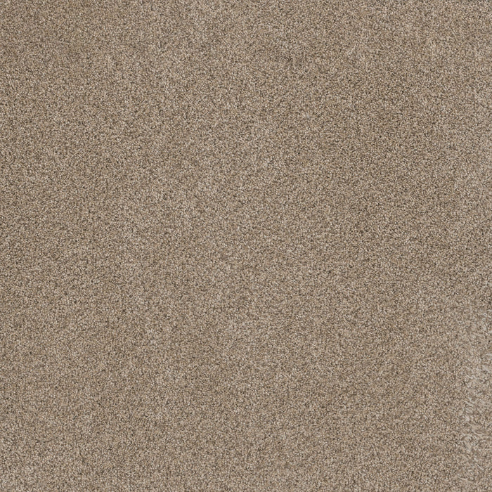 Trendsetter I Polyester Oxford 720 Carpet Textured 1