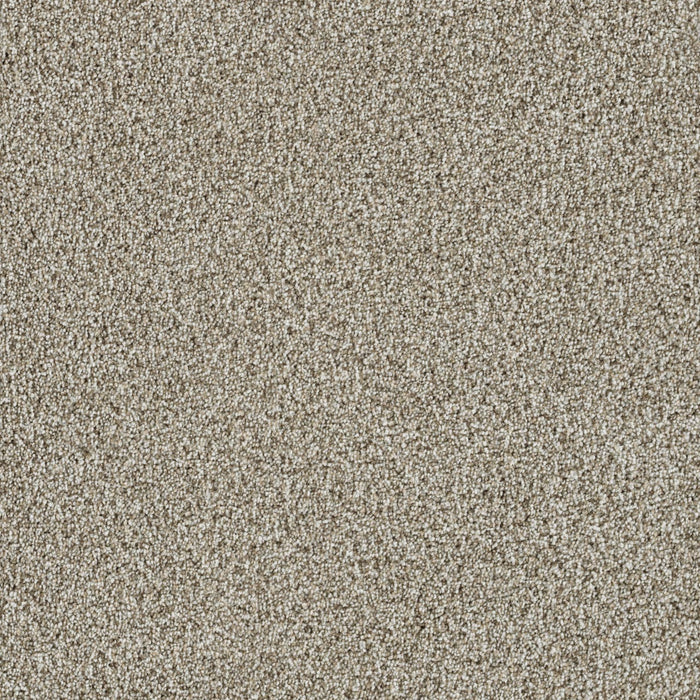 Trendsetter I Polyester Seashells 758 Carpet Textured 1