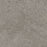 Trendsetter II Polyester Dove 800 Carpet Textured 1