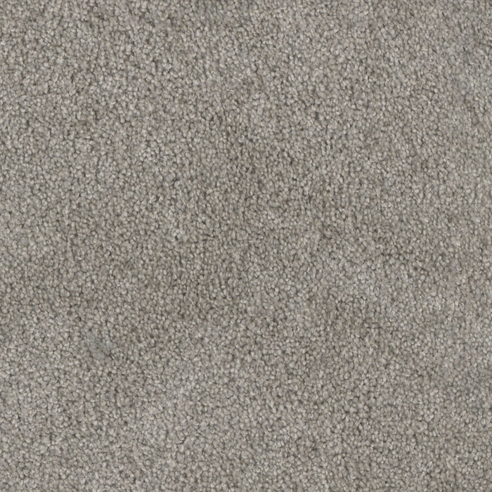 Trendsetter II Polyester Dove 800 Carpet Textured 1