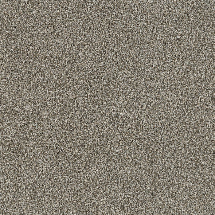 Trendsetter I Polyester Iron Frost 815 Carpet Textured 1