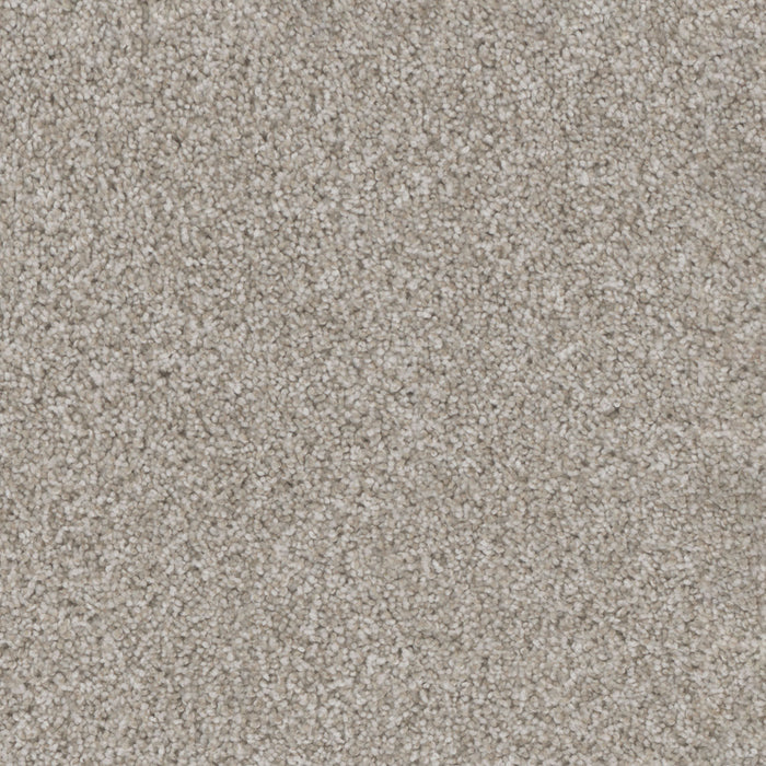 Trendsetter I Polyester Acadia 828 Carpet Textured 1