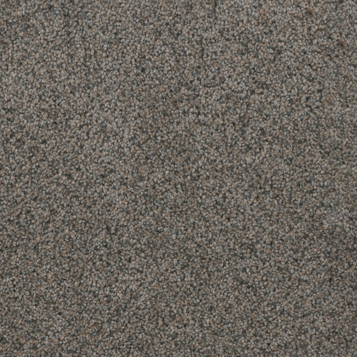 Trendsetter I Polyester Ash Grove 899 Carpet Textured 1