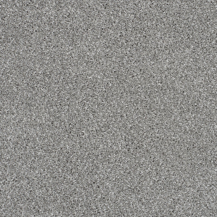 Trendsetter I Polyester Moonstone 903 Carpet Textured 1
