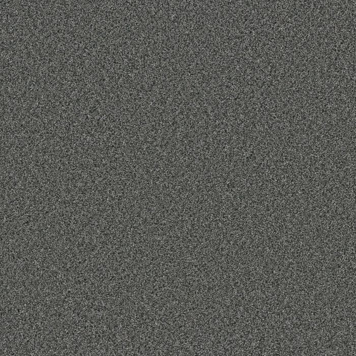 Trendsetter I Polyester Zinc 959 Carpet Textured 1