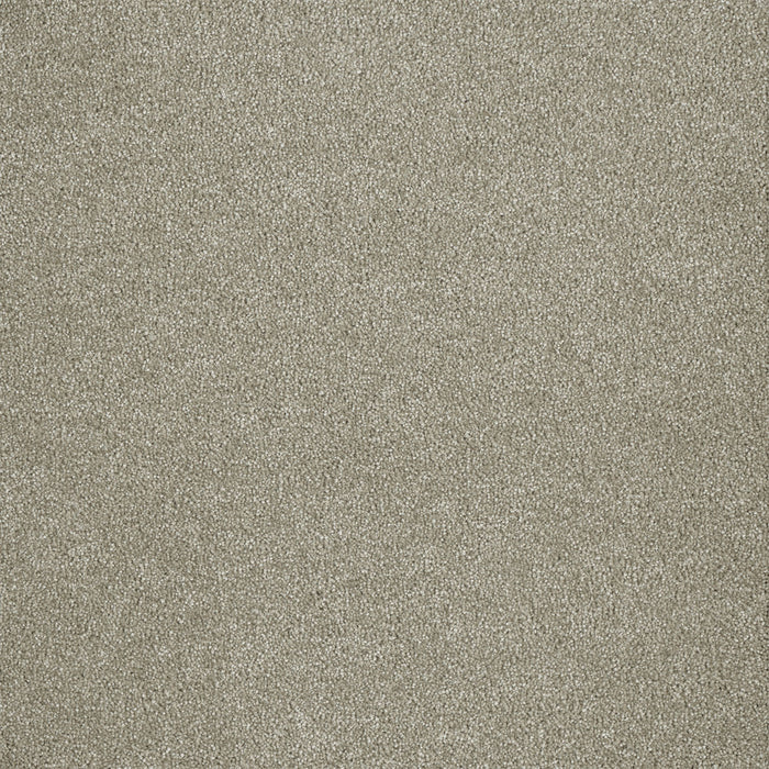 Malibu III Polyester Cottonwood 169 Carpet Textured 1