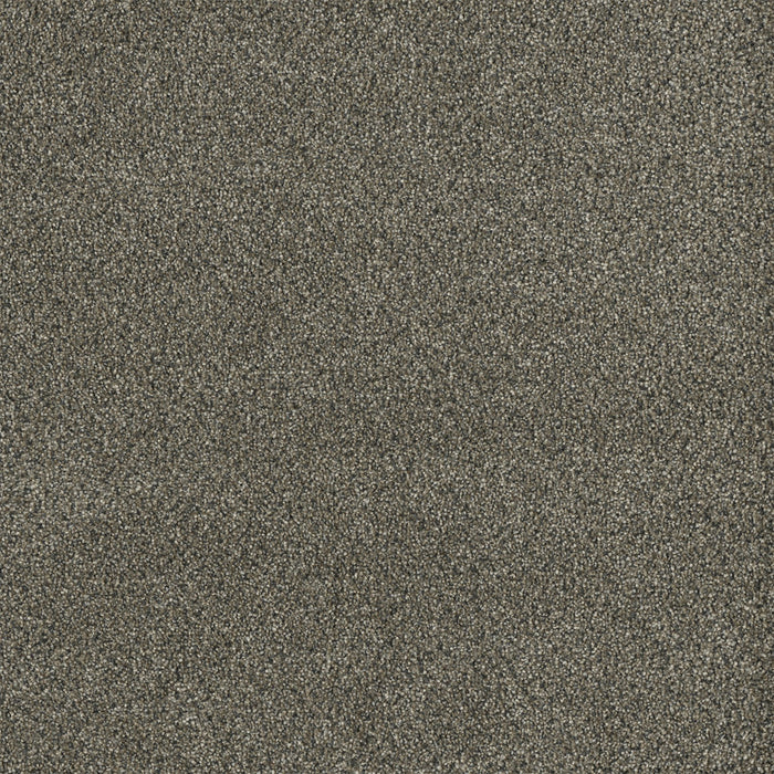 Malibu I Polyester Brentwood 258 Carpet Textured 1