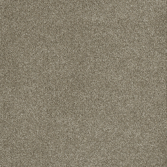 Malibu III Polyester Garden Rock 294 Carpet Textured 1
