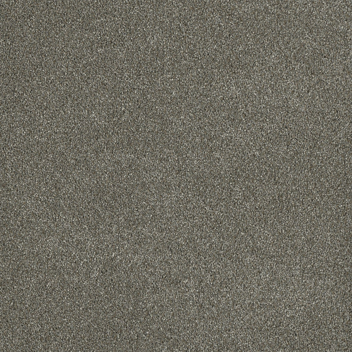 Malibu I Polyester Havana 330 Carpet Textured 1