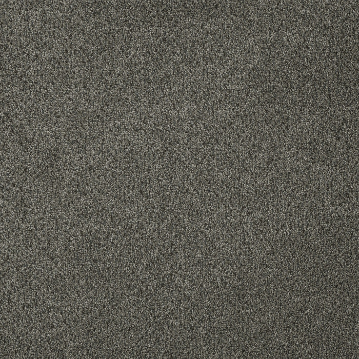 Malibu III Polyester Smoky Quartz 418 Carpet Textured 1