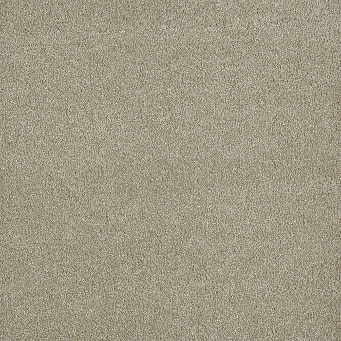 Malibu III Polyester Oak Barrel 430 Carpet Textured 1