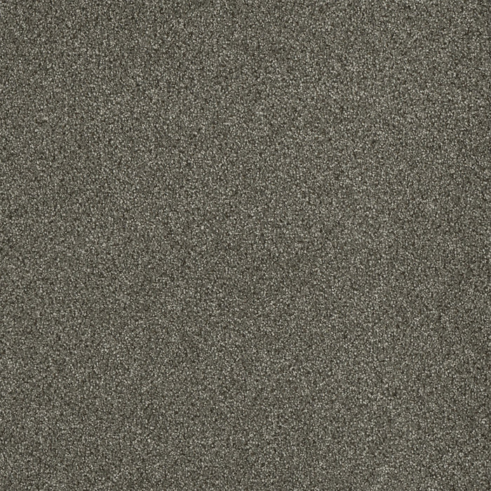 Malibu I Polyester Baltic Birch 622 Carpet Textured 1