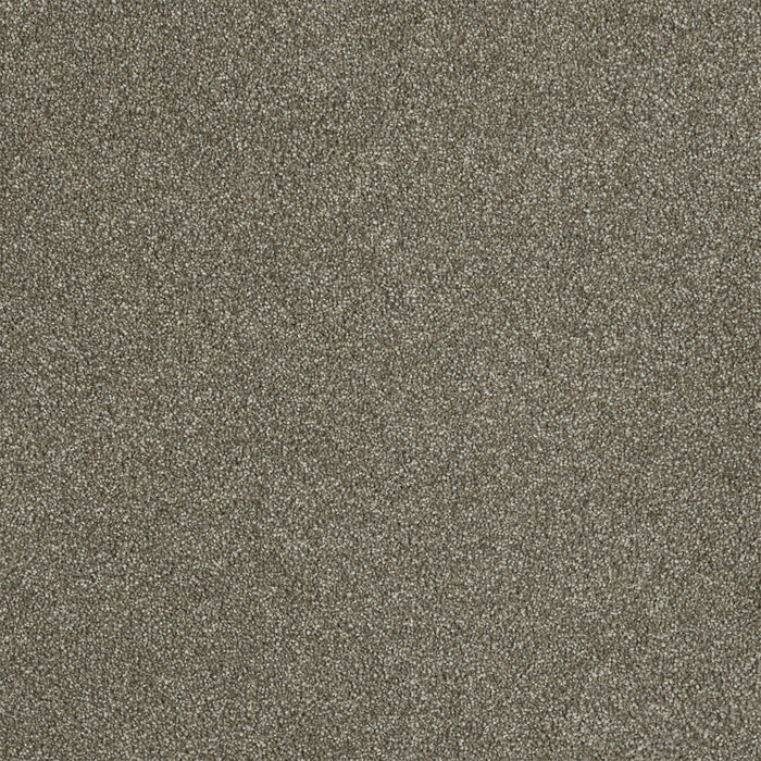 Malibu II Polyester Sienna Sand 680 Carpet Textured 1