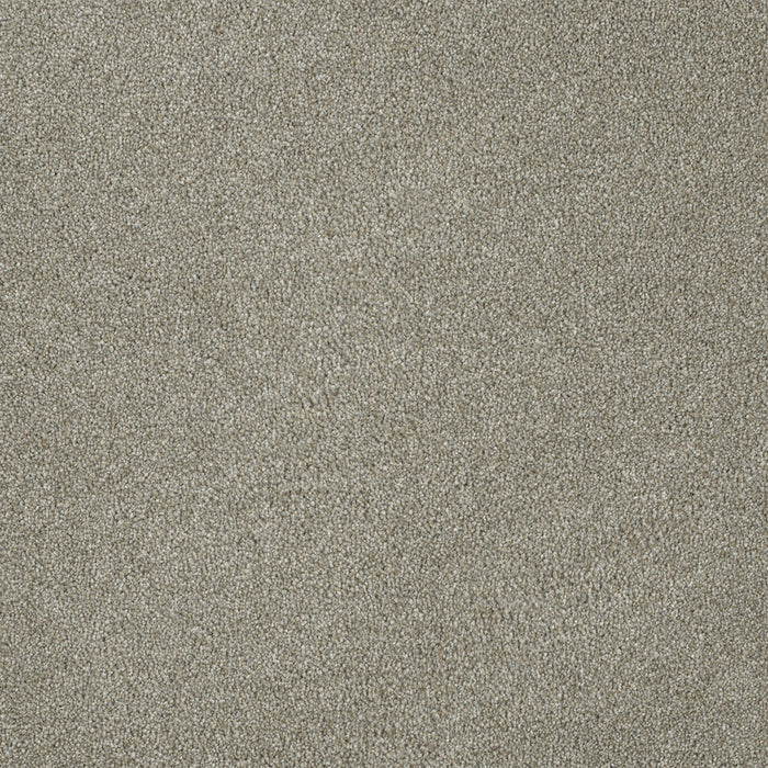 Malibu III Polyester Iceberg 733 Carpet Textured 1