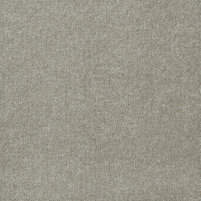 Malibu III Polyester Orion 780 Carpet Textured 1