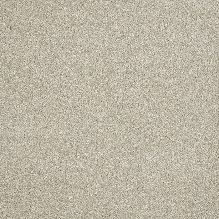 Malibu III Polyester Dusk 820 Carpet Textured 1