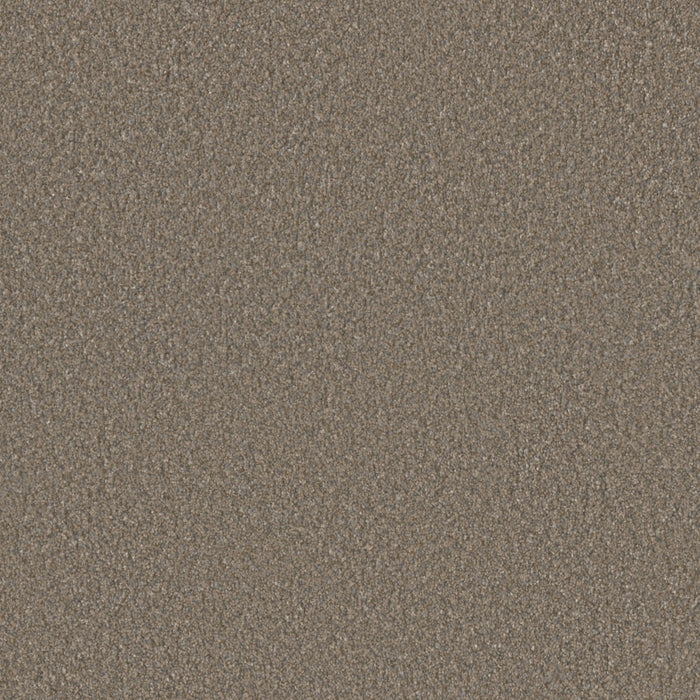 Malibu I Polyester Oyster Shoal 912 Carpet Textured 1