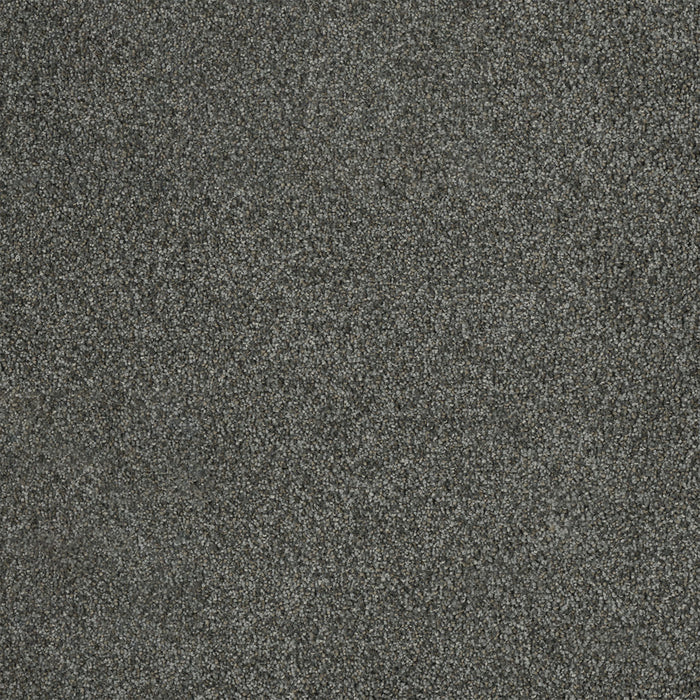 Malibu I Polyester Pavilion 958 Carpet Textured 1
