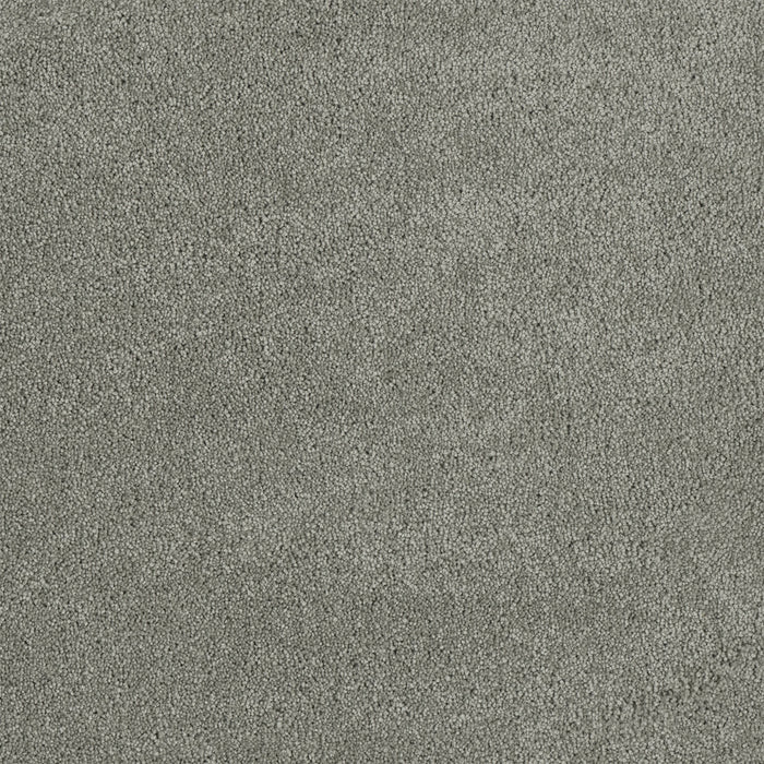 Malibu I Polyester Shamrock 973 Carpet Textured 1