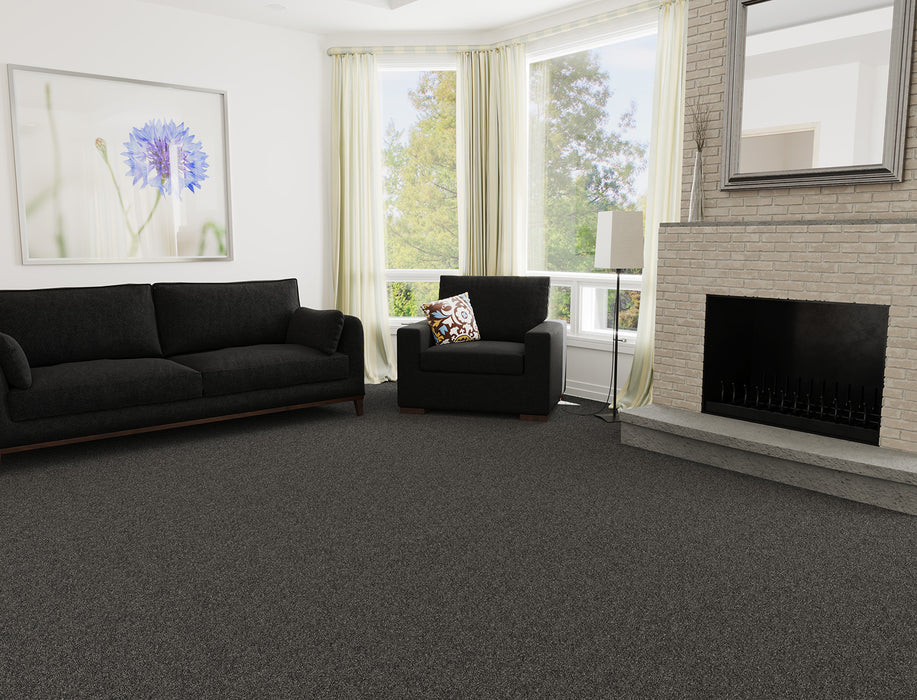 Malibu III Polyester Smoky Quartz 418 Carpet Textured 2
