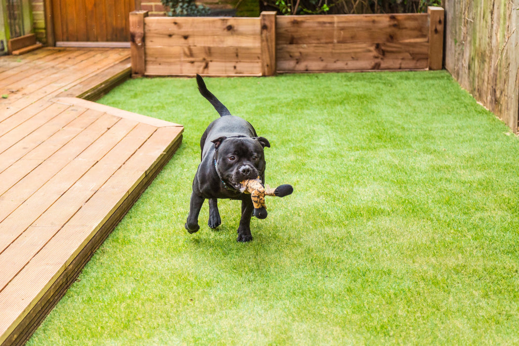 K9 Village Park Olive Polypropylene Turf - Urethane