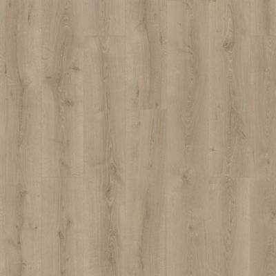 NatureTEK Plus Colossia Xxl Ashen Oak Laminate Wood Plank Flooring - Textured