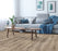 NatureTEK Plus Vestia Rocky River Oak Laminate Wood Plank Flooring - Textured
