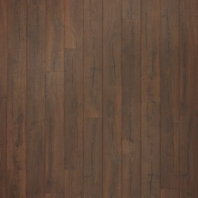 NatureTEK Plus Perdestia Lander Oak Laminate Wood Plank Flooring - Textured