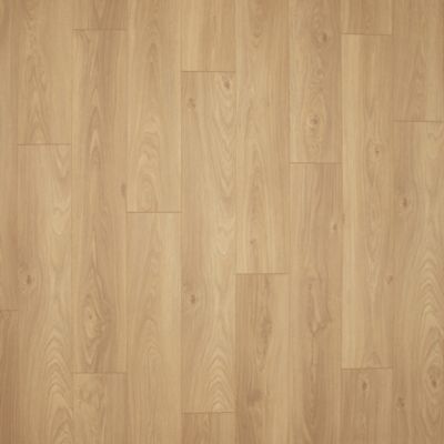 NatureTEK Select Palisades Park Golden Nest Oak Laminate Wood Plank Flooring - Textured